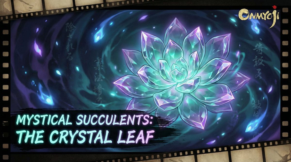 黄色仓库植物视频-多肉植物视频